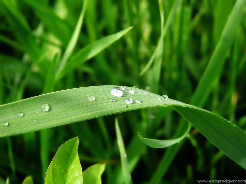 The Best Nature Ever Wallpapers Part 5