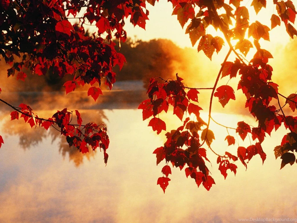 Nice Autumn Wallpapers Desktop Hd 1280x960 Hd Wallpapers For Desktop ...