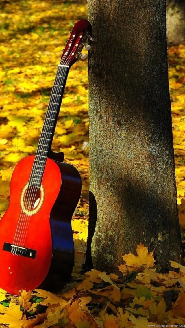 Maple Guitar Mobile Wallpapers   Mobiles Wall
