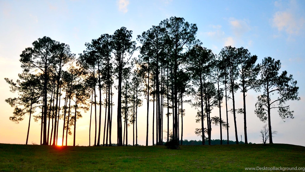 Took This A While Back And Thought It Made A Decent Wallpapers ...