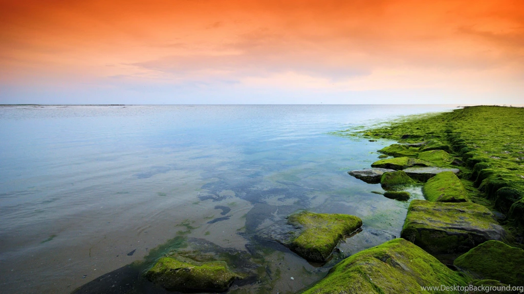 Download Wallpapers 3840x2160 Green, Orange, Moss, Lake, Evening 4K ...