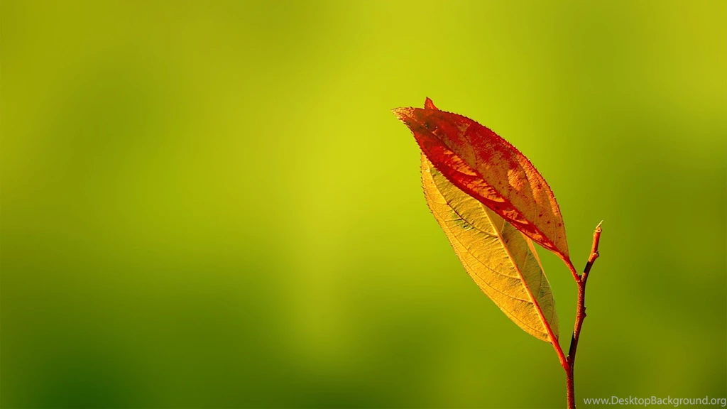 Backgrounds Hd Images Collection (27+)