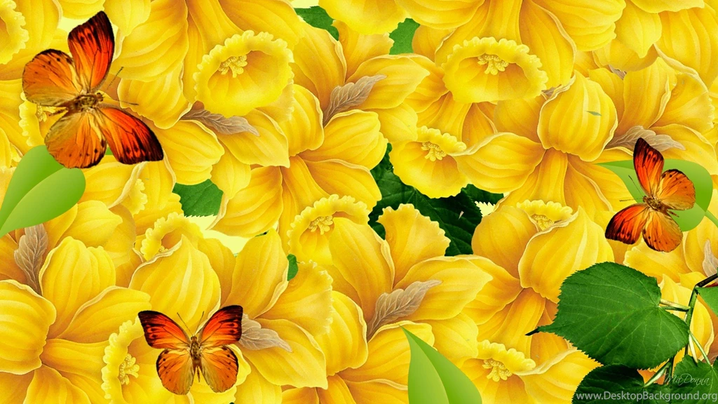 Awesome Colorful Butterflies HD Backgrounds