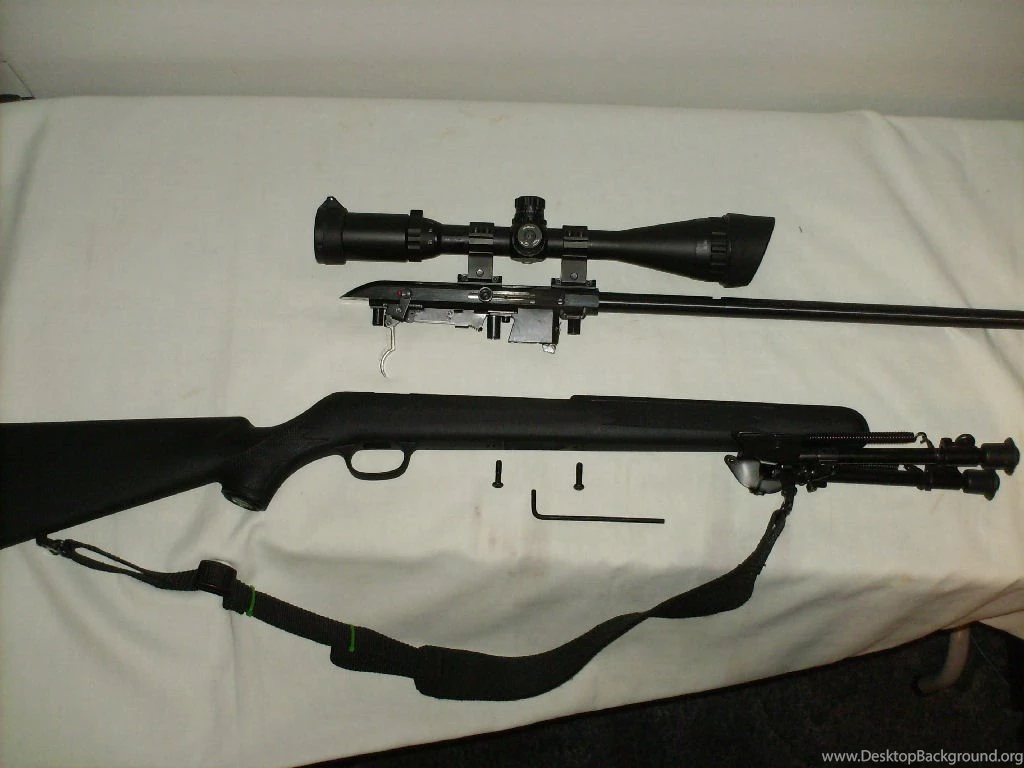 Savage 64F Disassembly For Barrel Cleaning