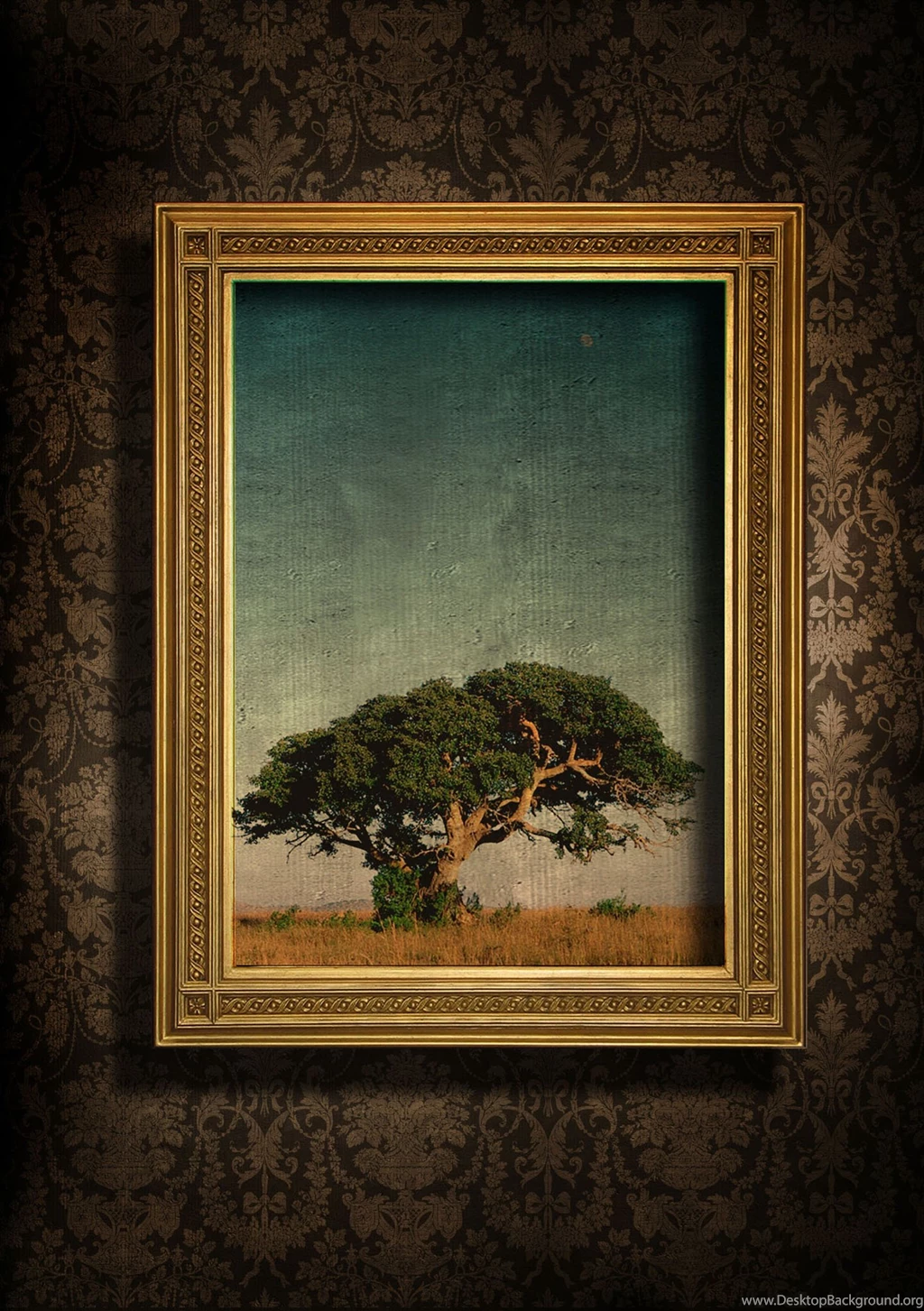 European style Frame With Beautiful Wallpapers 27512   Classic ...