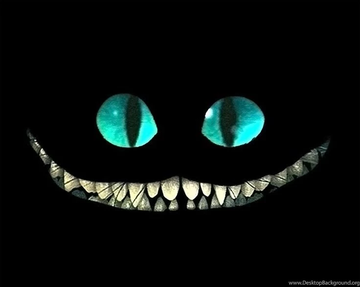 Nyan Cat Wallpapers And Get Some Great Advice If You're A Person ...