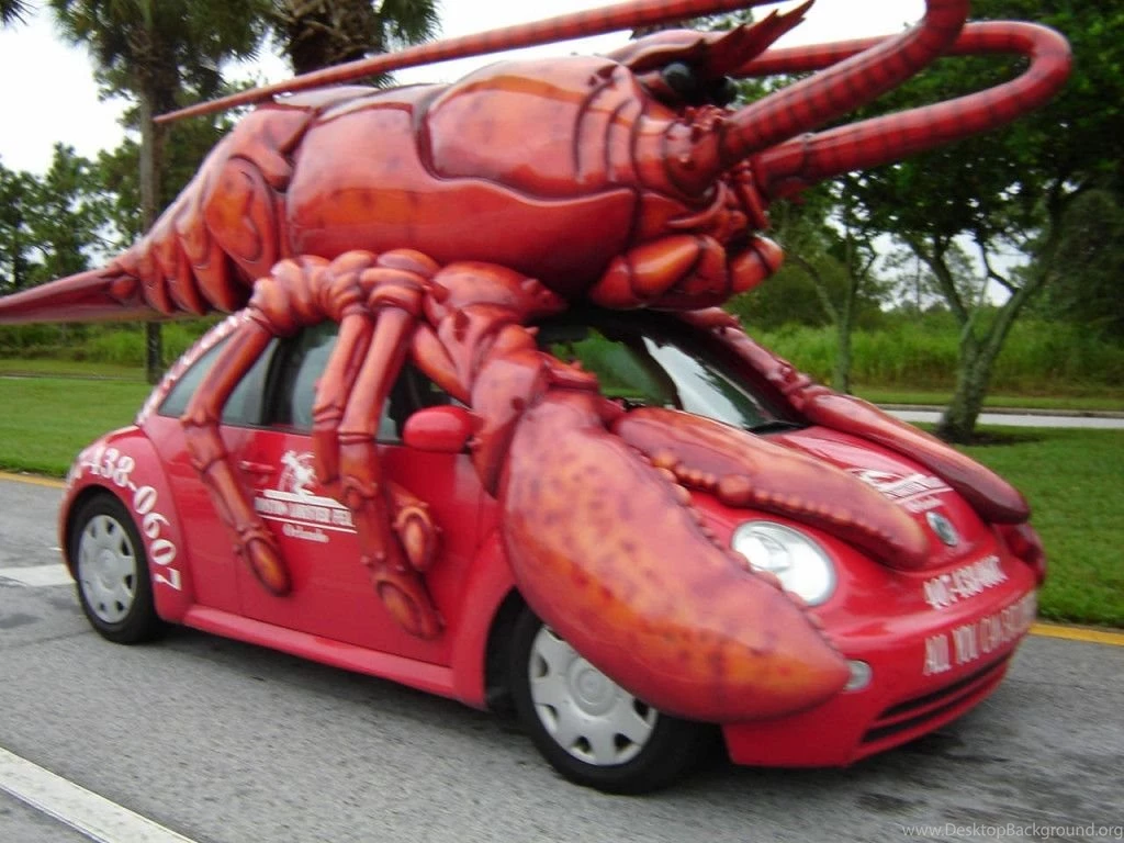 Funny Cars Wallpapers Wallpapers Cave