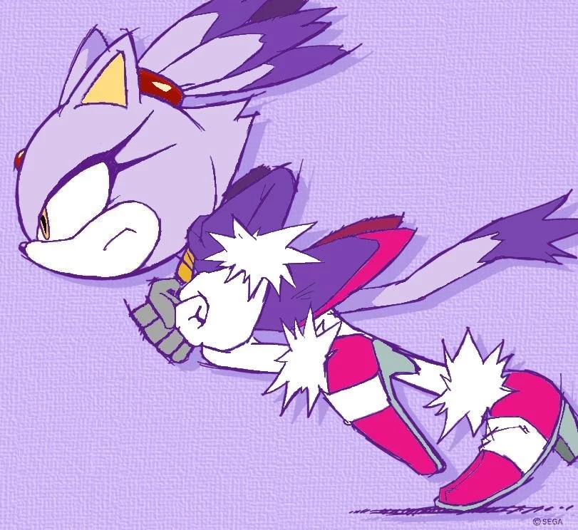 Blaze The Cat Favourites By PhantomGhostGirl On DeviantArt