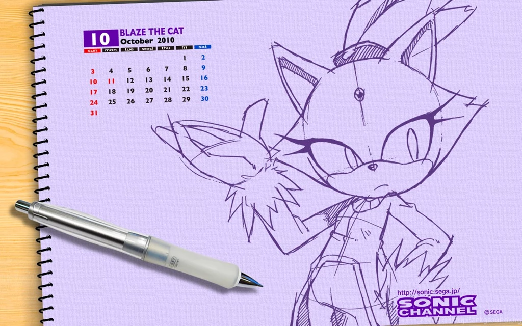2010/10 Blaze The Cat Sonic Channel Gallery Sonic SCANF