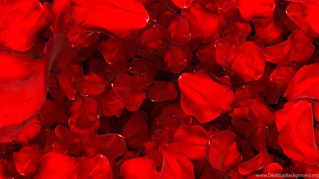 Valentine Backgrounds Video Effects, Backgrounds Video Loop ...