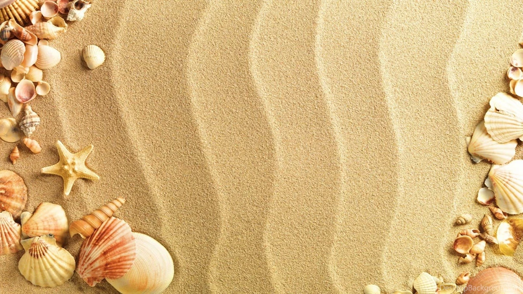 Sea Shell Live Wallpapers Android Apps On Google Play