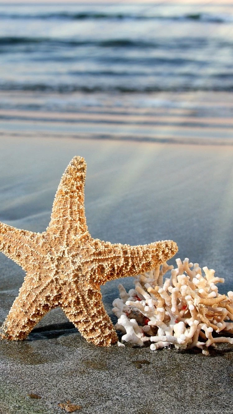 Love Iphone 6 Beach Wallpaper? Here Are Ideas For Instant ...
