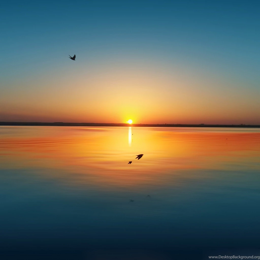 Photograph Ipad Mini Desktop Wallpapers Size Most Recent ...