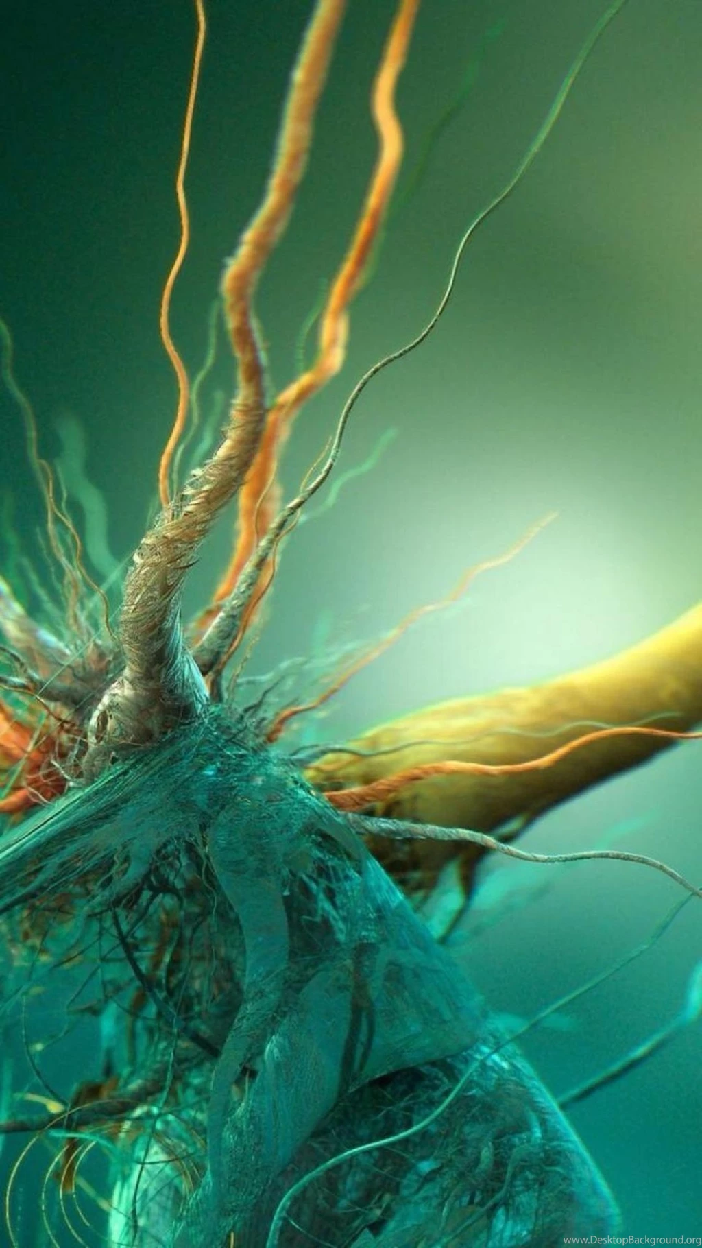Dimensional 3d Dimensions Root Art iPhone 6 Wallpapers Download ...