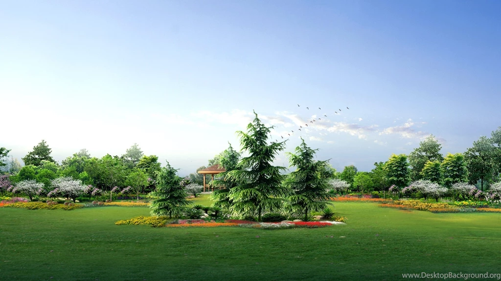 Download Wallpapers 3840x2160 Fir trees, Park, Garden, Lawn, Birds ...