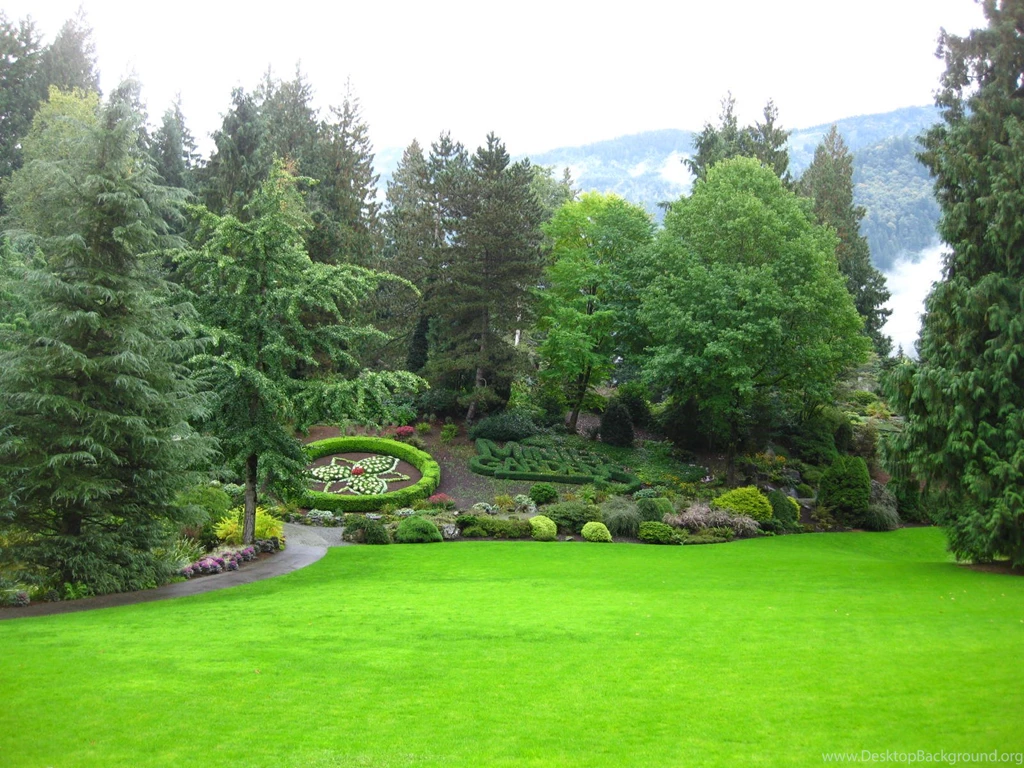 Beauty Green Garden Laptop Backgrounds