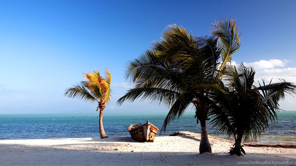 Tropical Beach Shell 1920x1080 16 9 Back To Wallpapers Back Home ...