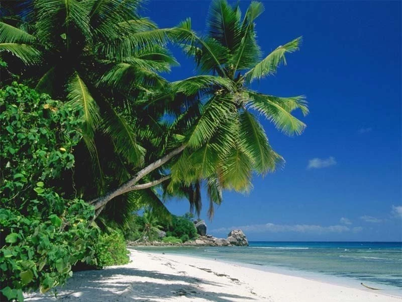 Coby's Blog: Florida Beach Wallpapers