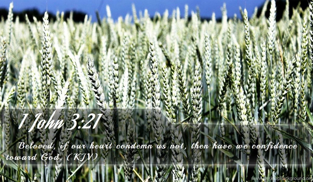 Nook Wallpapers   Free Nook Wallpapers HD 6