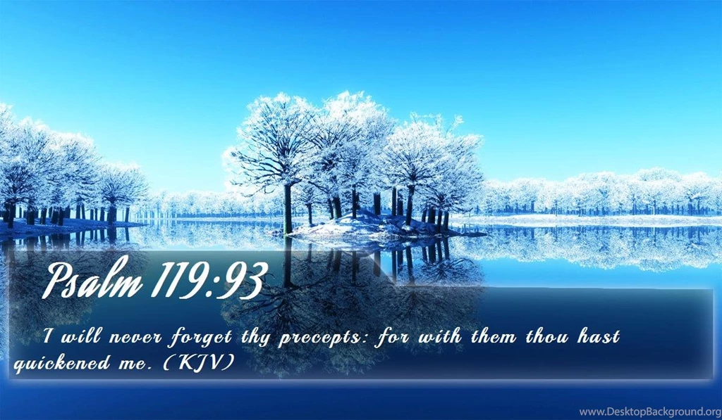 Nook Wallpapers   Free Nook Wallpapers HD 4