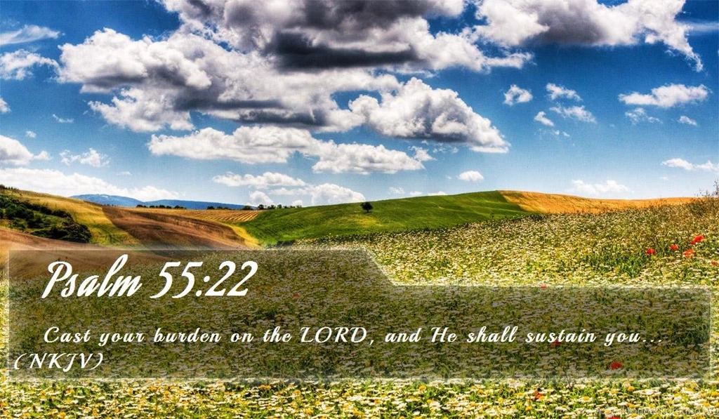 Nook Wallpapers   Free Nook Wallpapers HD 3