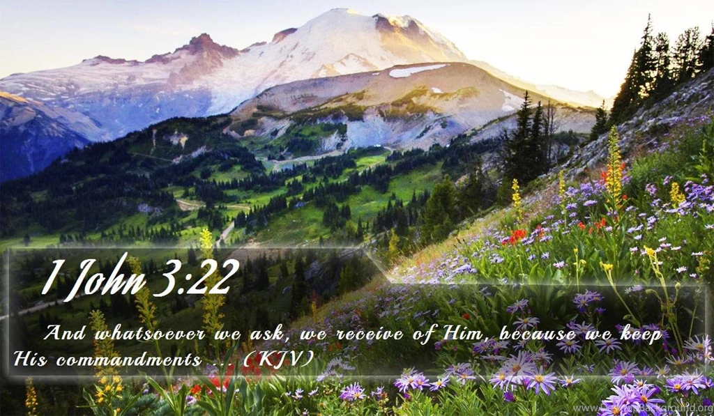 Nook Wallpapers   Free Nook Wallpapers HD 11