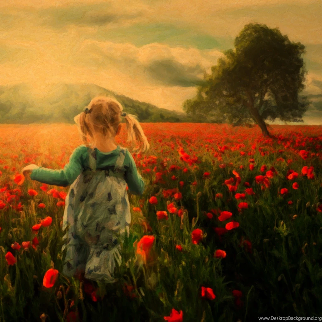 New ipad wallpaper hd 2048×2048 510