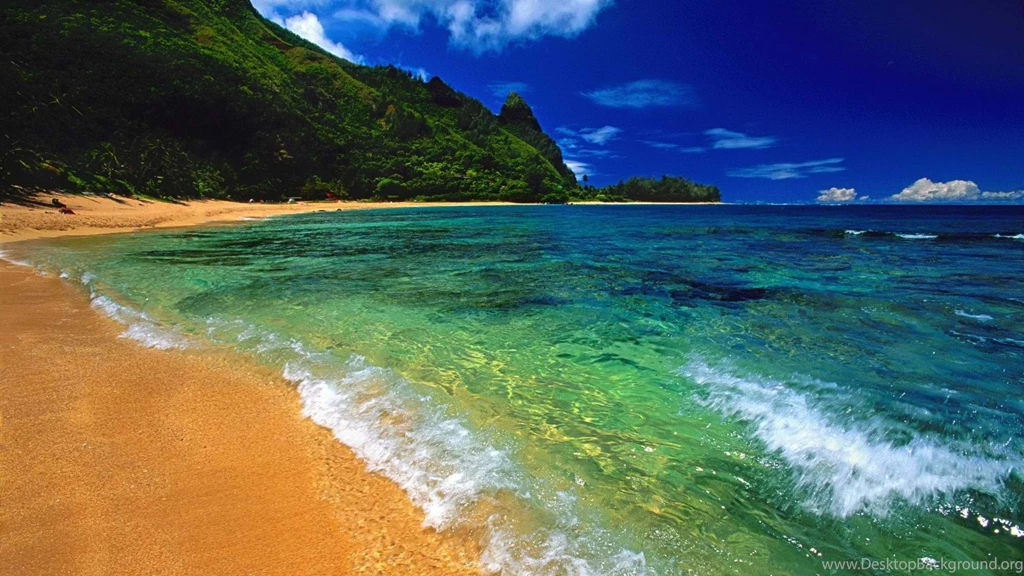 Beach World Hawaii Kauai