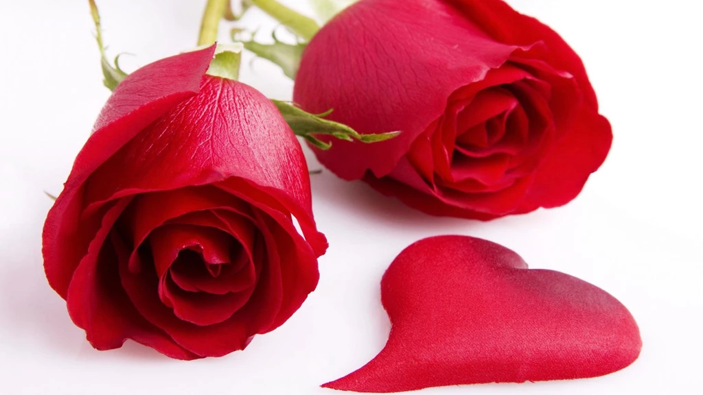 Red Roses And Single Heart Wallpapers HD Love