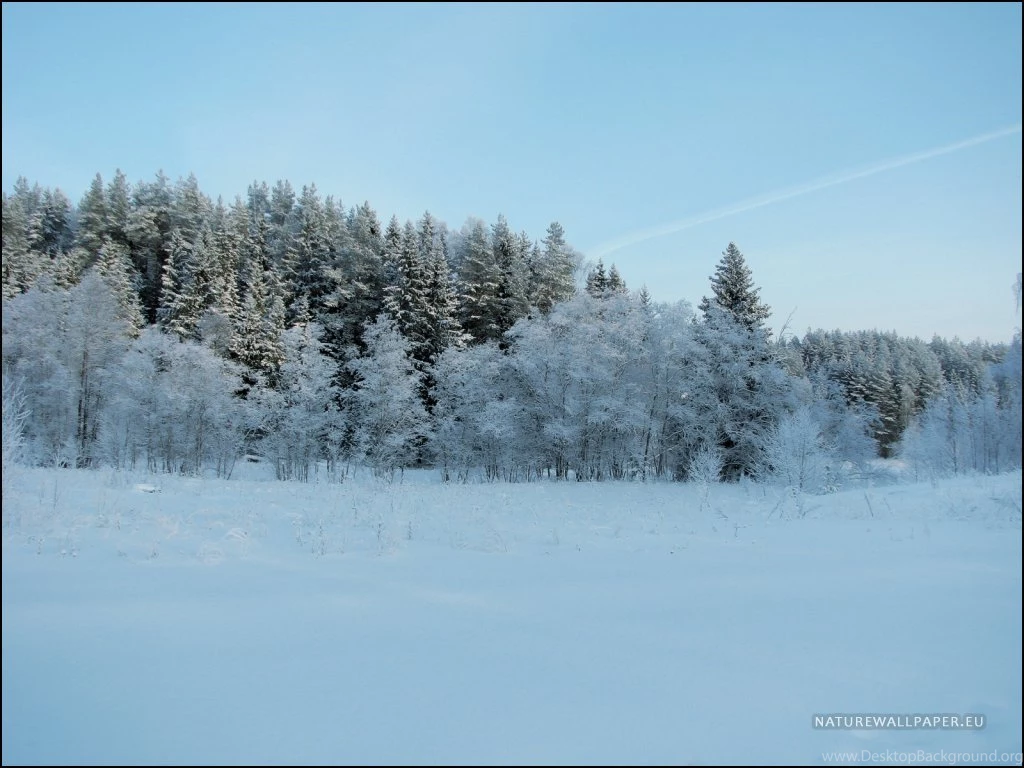 Latest Winters Wallpapers Download For Free