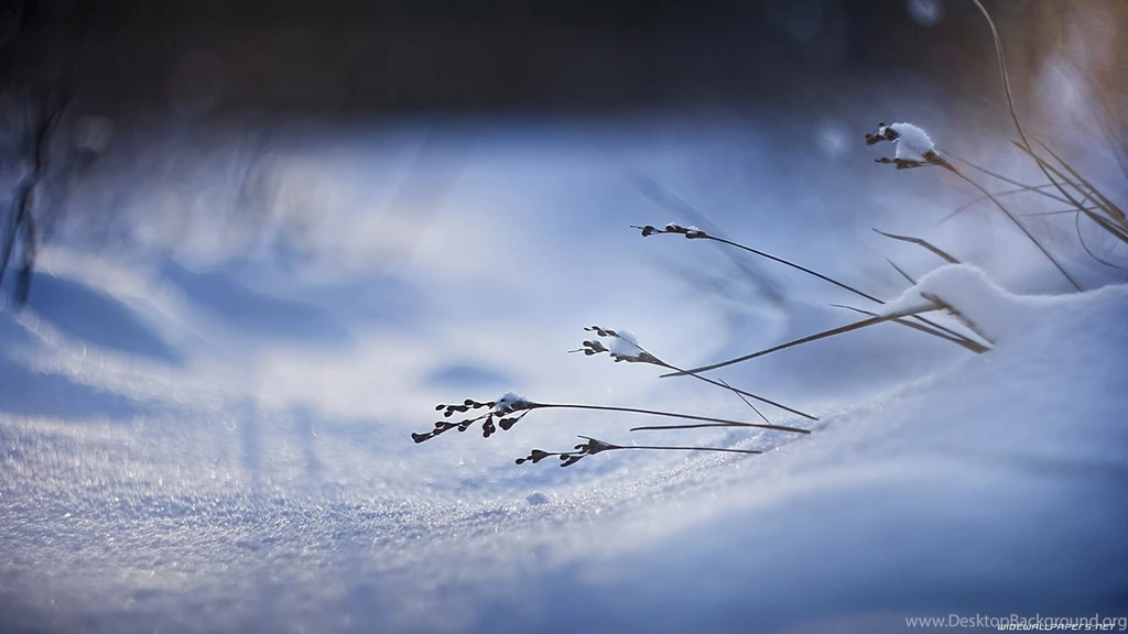 Top 15 Amazing Winter Wallpapers