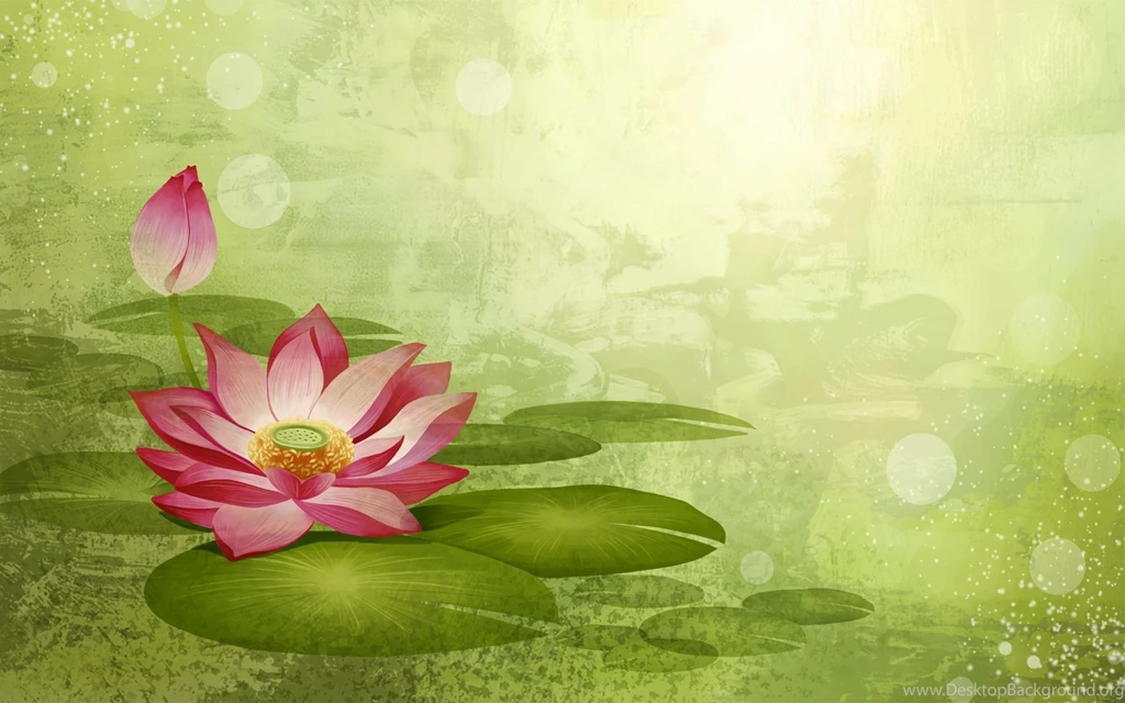 Lotus Flower Backgrounds Wallpapers Cave