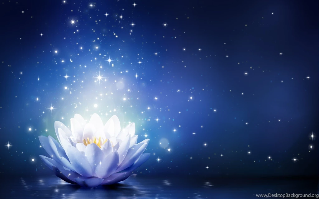 Lotus Flower Sparkles Blue Backgrounds Wallpapers HD Download