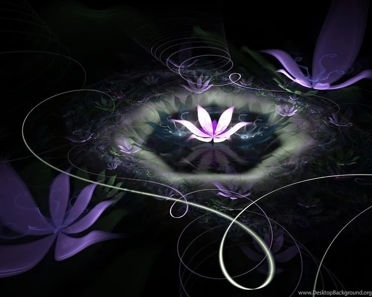 Beautiful Purple Flower Backgrounds