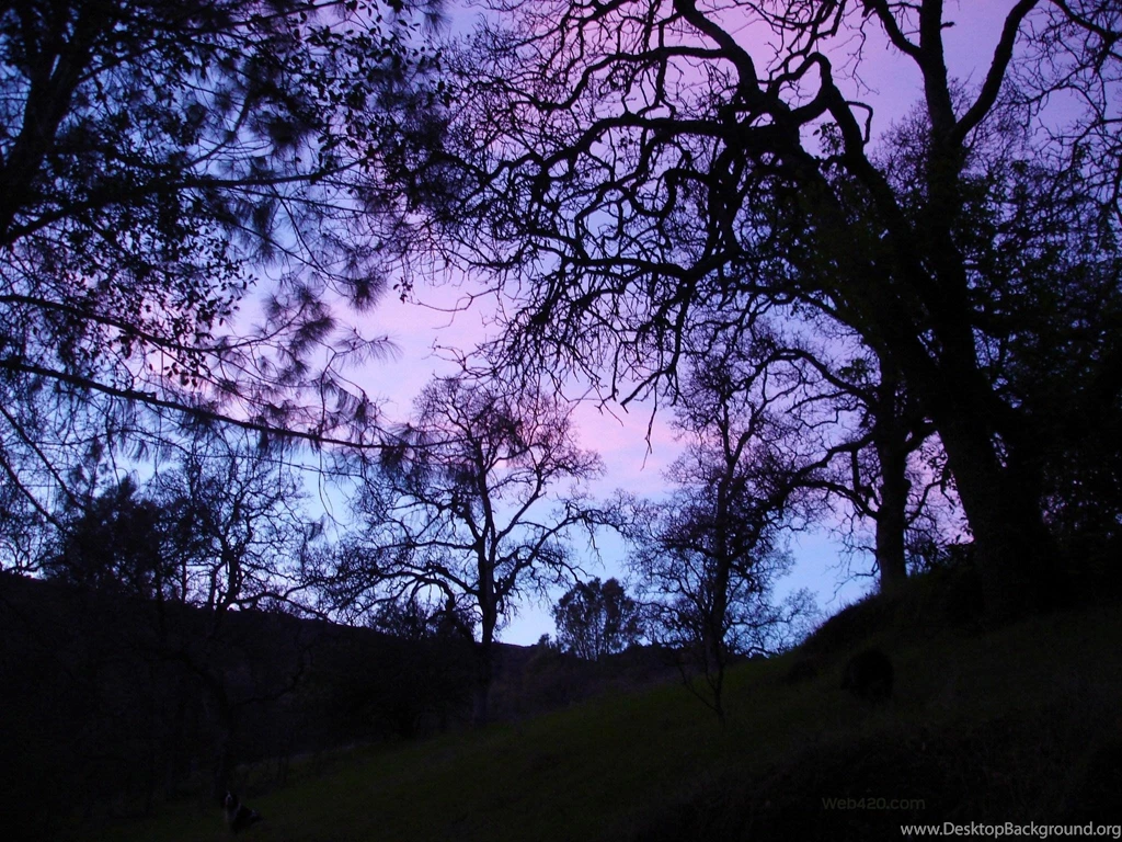 Pastel Wallpapers >> Backgrounds With Quality HD