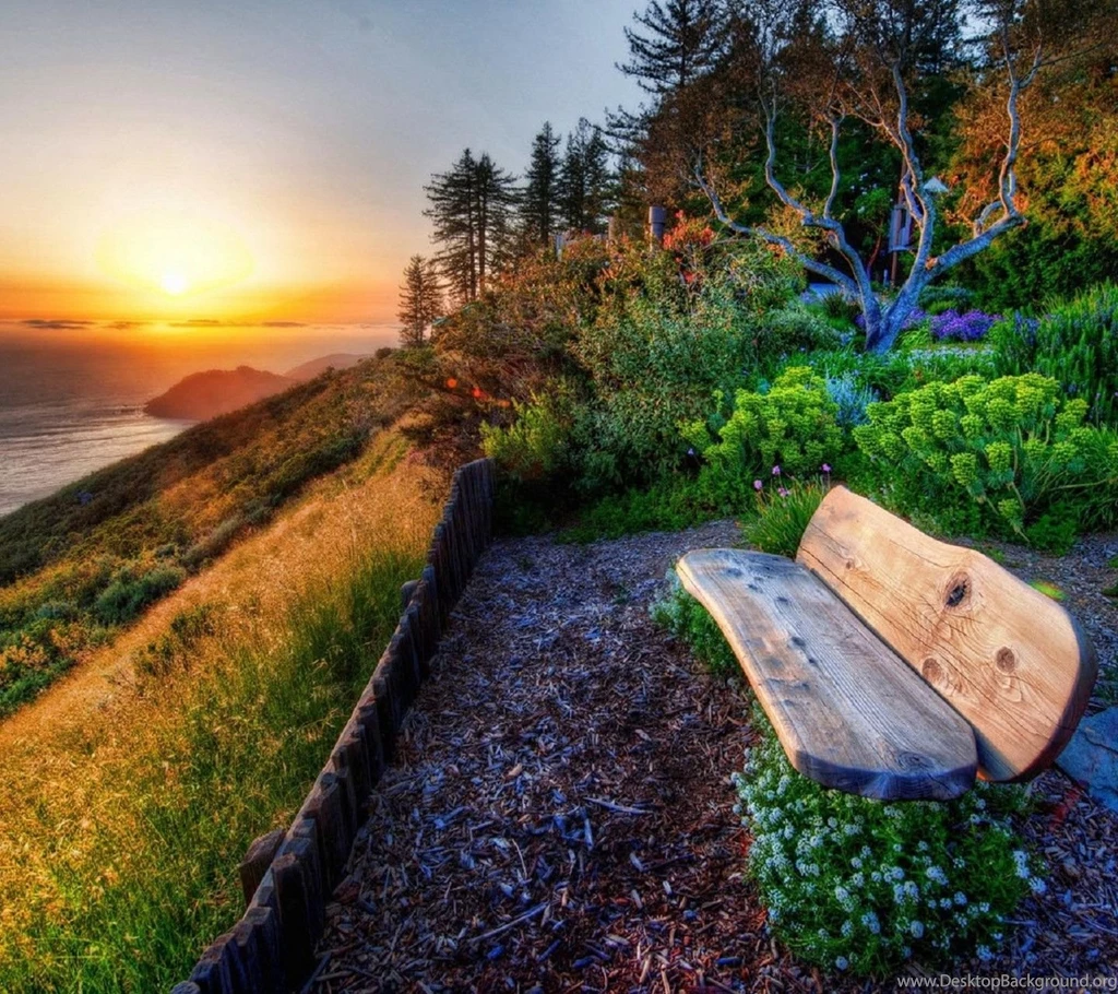 Most Popular Wallpapers