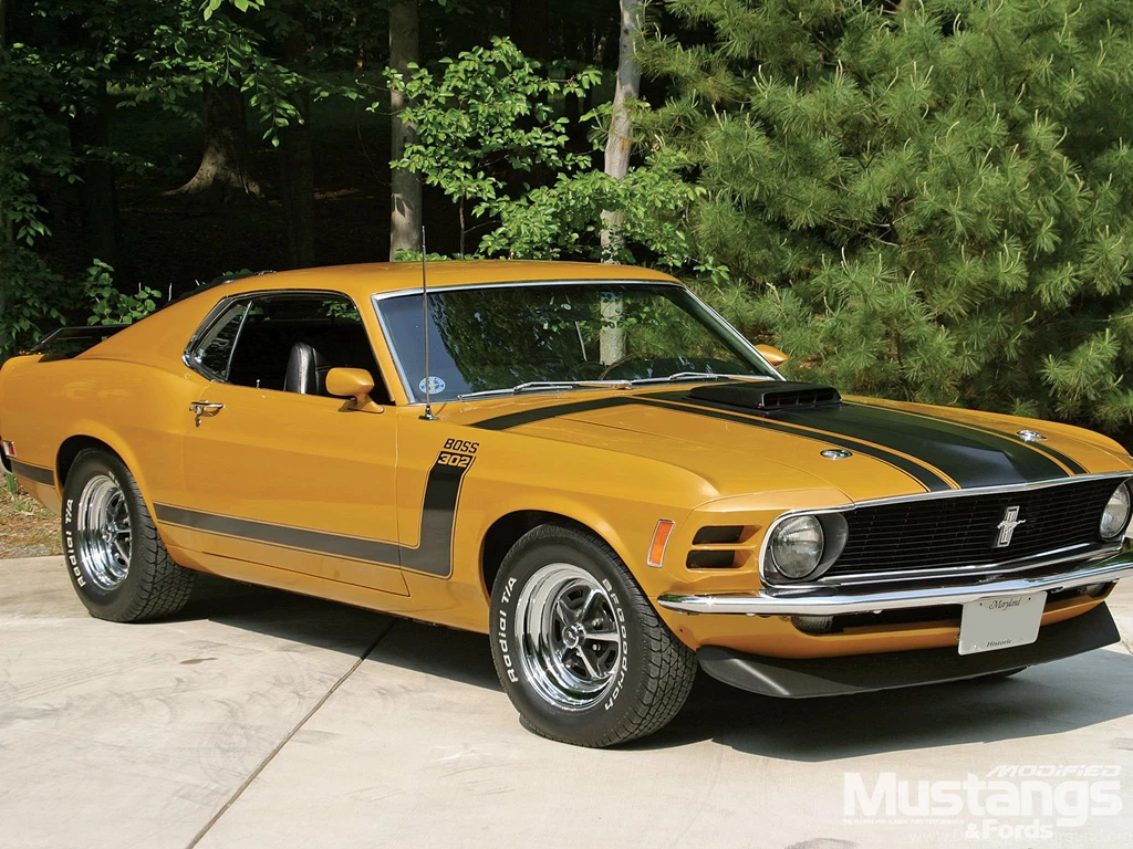 Ford Mustang Boss 429 1970   Image