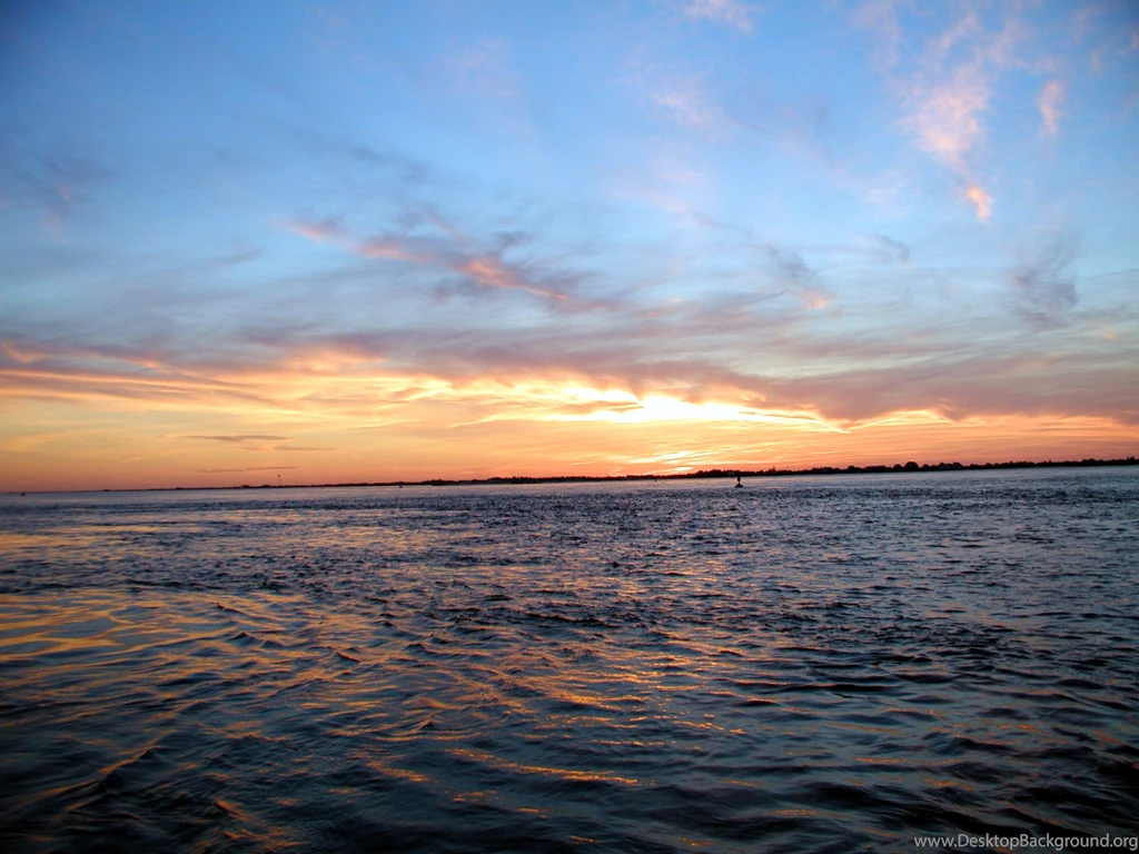 Maybe Tonight Fishing Charters   Long Island Fishing Report  Fire ...