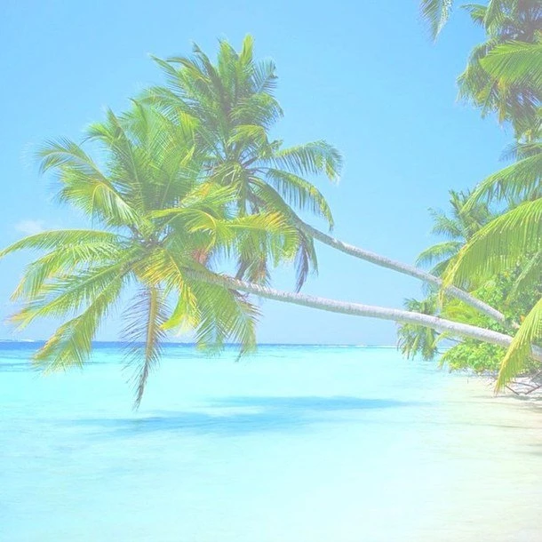 Summer Is The Beginning Of Many Amazing Things   Image