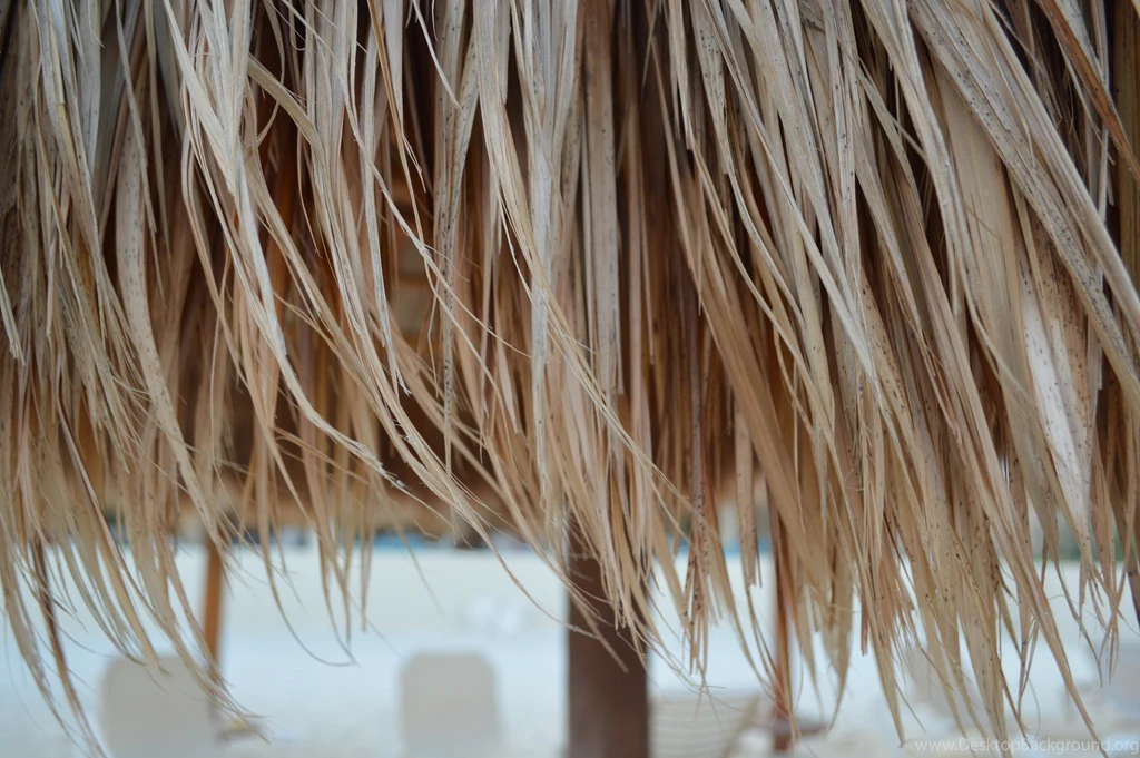 Through My Lens