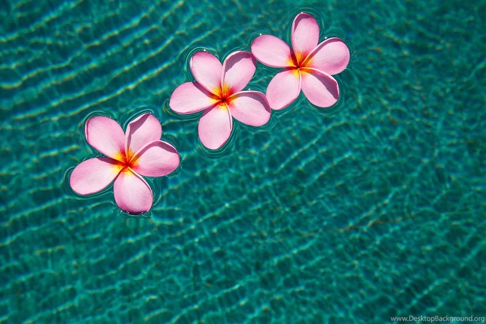 Beachy Sweet On Gili Trawangan In Lombok   Travel & Underwater ...