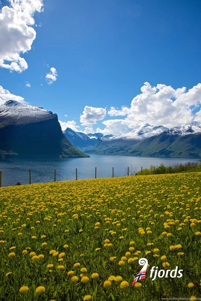 Fjords.com   Norway   Download Mobile Phone Background Images