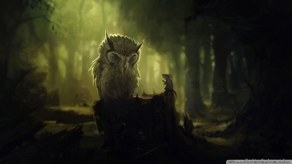 The Wise Owl HD Desktop Wallpapers : Widescreen : High Definition ...