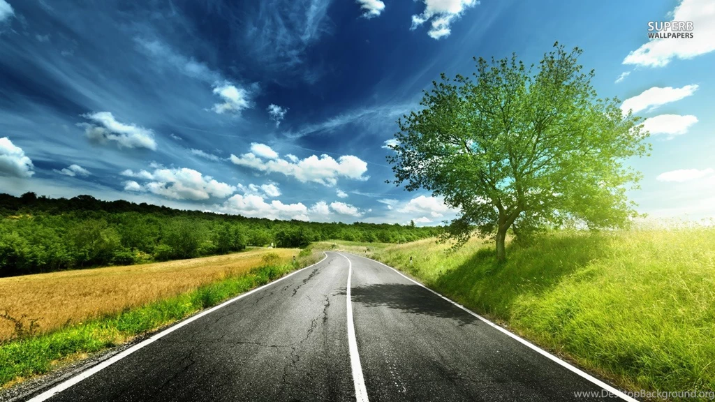 Top Nature Wallpapers To Keep Employees Focused