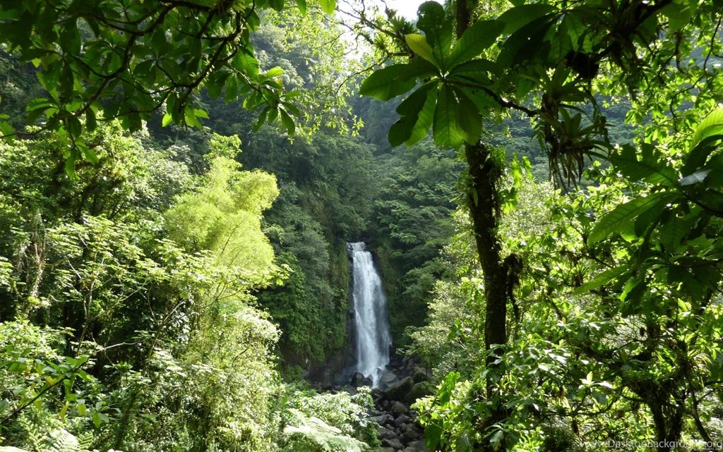 MLeWallpapers.com Trafalgar Falls