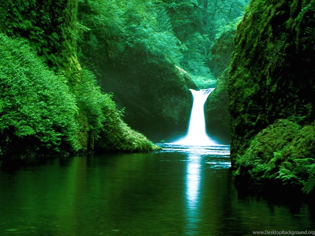 Tropical Rainforest Waterfalls Desktop Backgro Wallpapers ...