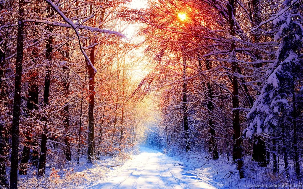 Winter Mountain Scene Wallpapers HD Uncalke.com