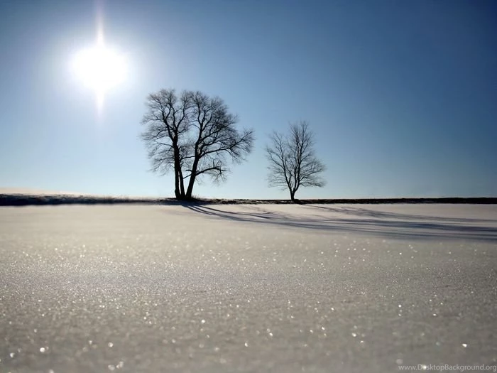 Winter Photography Beautiful Winter Scenes Wallpaper7 Wallcoo.net