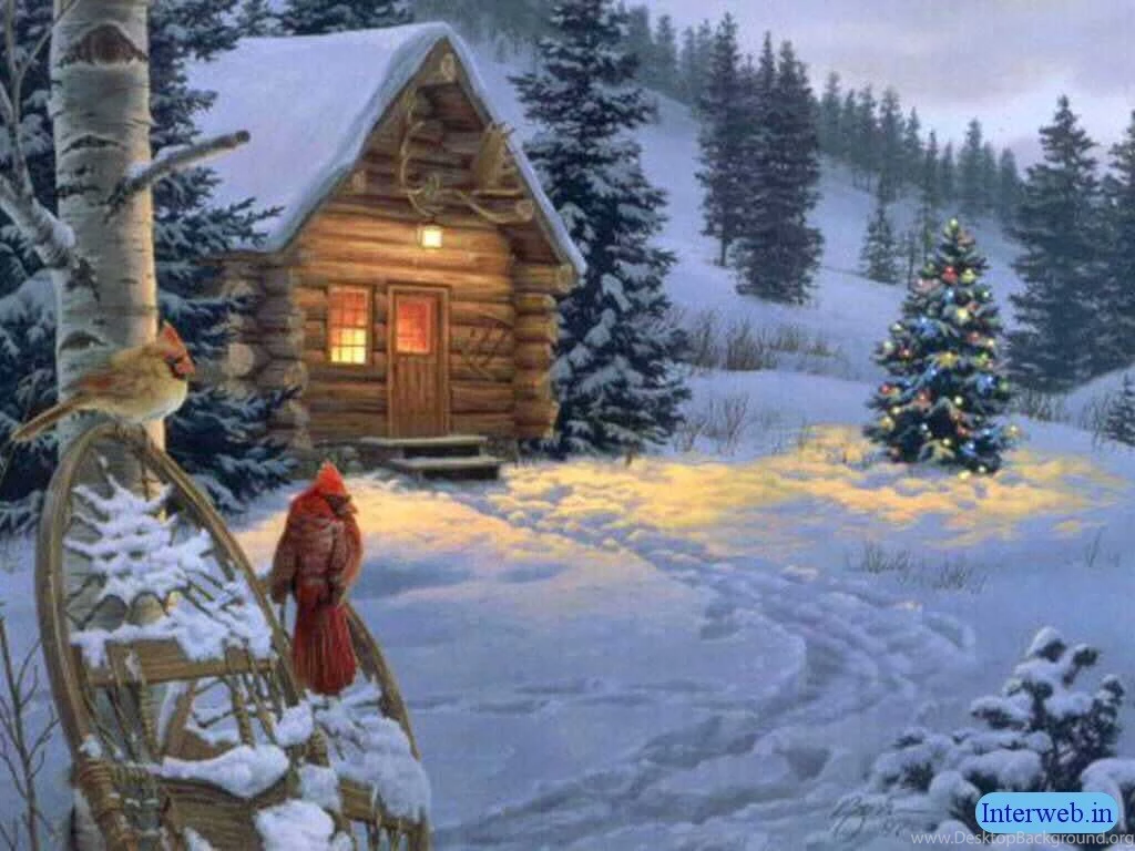 Beautiful Christmas Winter Scenes