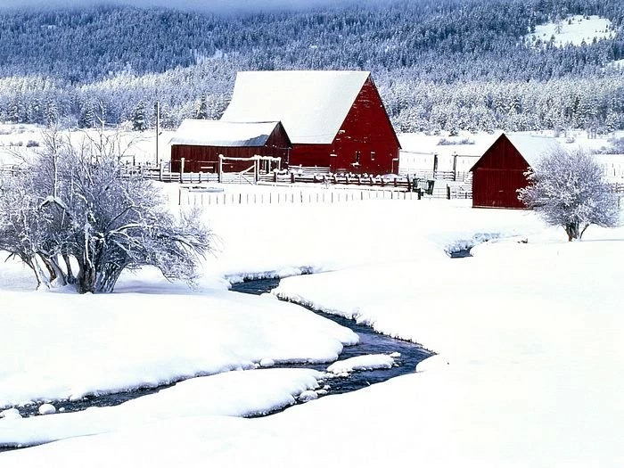 Winter Wondrland : Amazing Winter & Snow Photography Wallcoo.net
